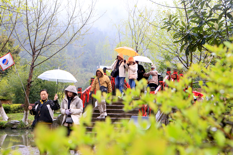 張家界黃龍洞景區(qū)：雨中踏青游園韻味濃