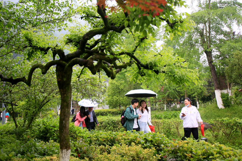 打卡黃龍洞！初夏雨后，清新綠意太治愈